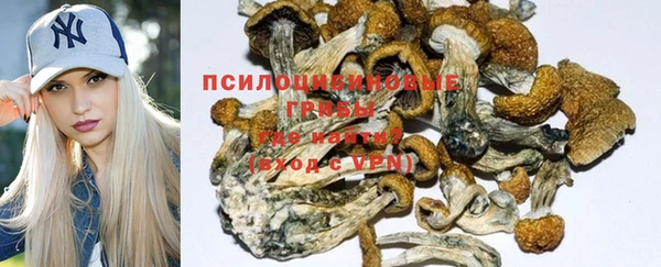 твердый Арсеньев